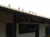 trimdeck-roofing-3